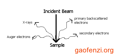 扫描电子显微镜SEM原理