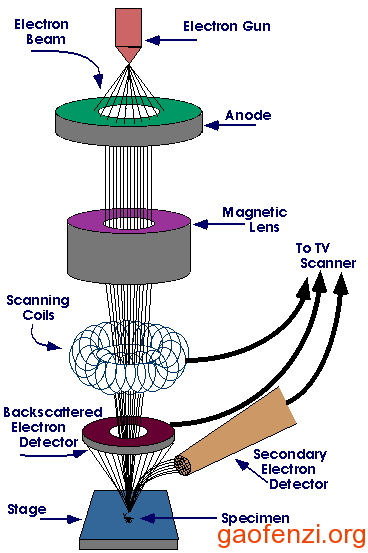 SEM扫描电镜原理