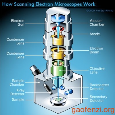扫描电镜工作原理