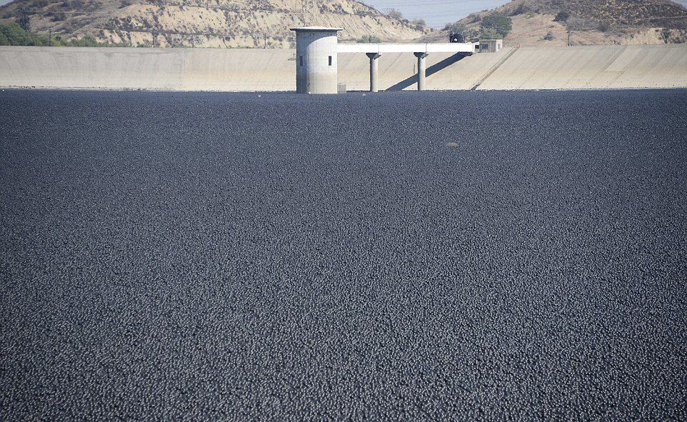 聚乙烯黑色塑料遮阳球保护洛杉矶水库
