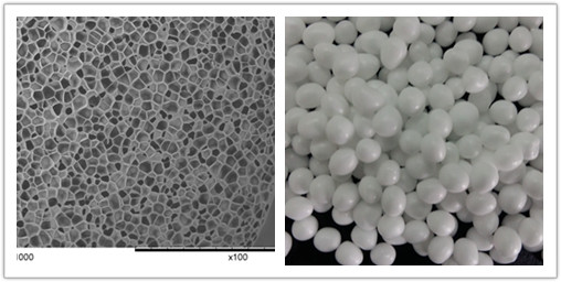 发泡TPU电镜图