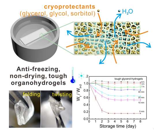 抗冻和保湿的韧性水凝胶